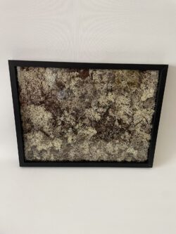 Moosbild 40 x 30 x 3 cm