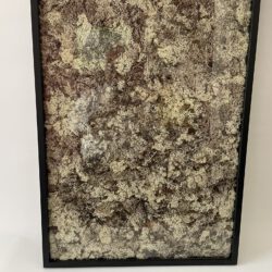 Moosbild 70 x 50 x 3 cm – Bild 2