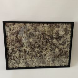 Moosbild 70 x 50 x 3 cm