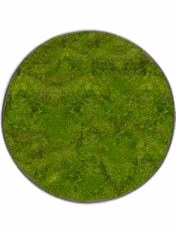 Moosbild Nova Frame Natural-concrete 100% Plattenmoos D 40 / Preis a.A