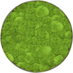 Moosbild Nova Frame Natural-concrete 100% Kugelmoos D 40 / Preis a.A