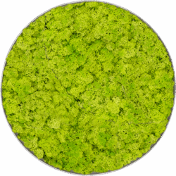 Moosbild Nova Frame Natural-concrete 100% Islandmoos Frühling grün D 40 / Preis a.A