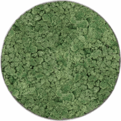 Moosbild Nova Frame Natural-concrete 100% Islandmoos Moosgrün D 40 / Preis a.A